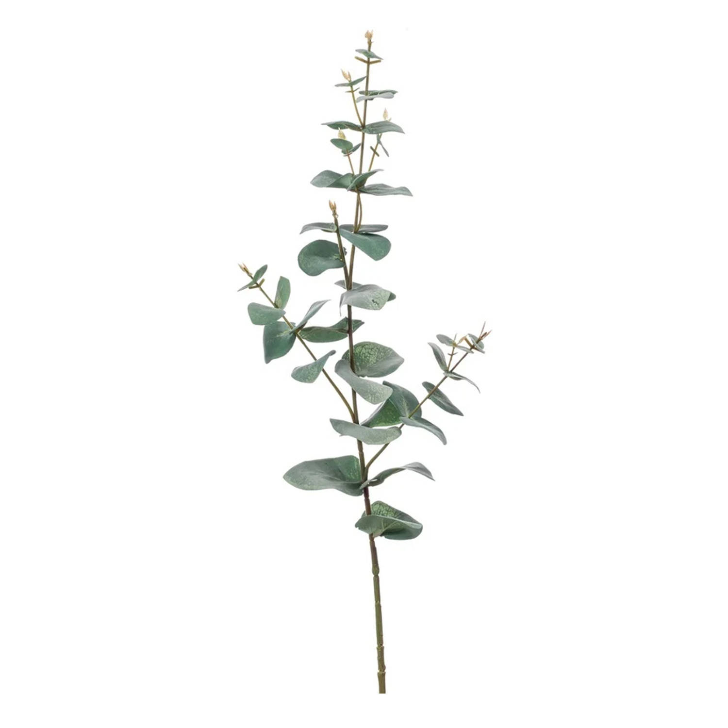 Groene Eucalyptus Kunsttak Kunstplant 68 Cm Kunstplanten-kunsttakken Kunstbloemen Boeketten