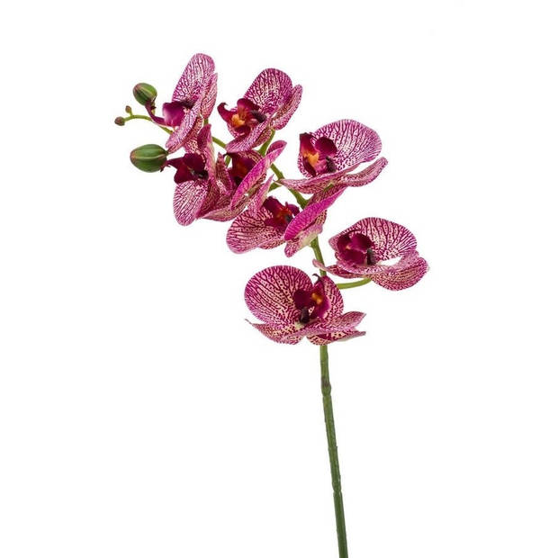 Fuchsia roze Phaleanopsis vlinderorchidee kunstbloemen 70 cm decoratie - Kunstbloemen