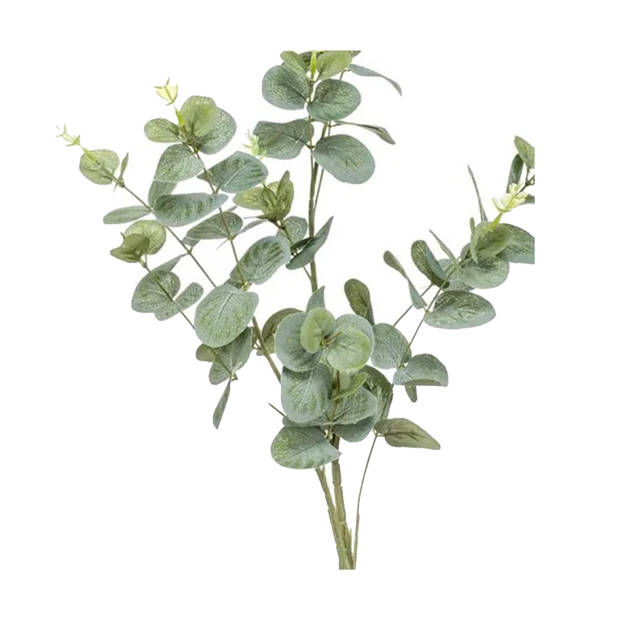 Emerald Kunstplant Eucalyptus - groen - takken - 75 cm - Kunstbloemen