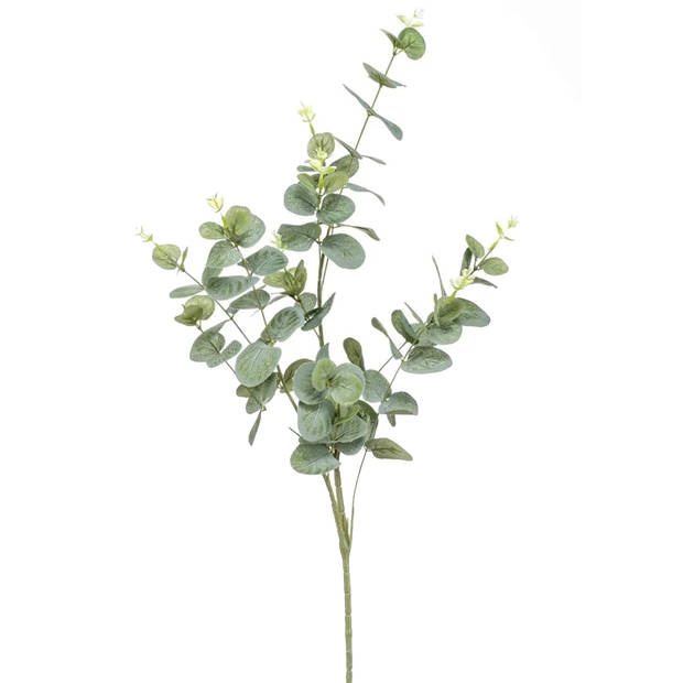 Emerald Kunstplant Eucalyptus - groen - takken - 75 cm - Kunstbloemen