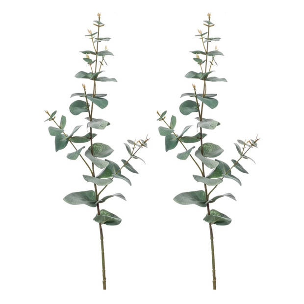 Emerald Kunstplant Eucalyptus - groen - takken - hangplant - 68 cm - Kunstbloemen