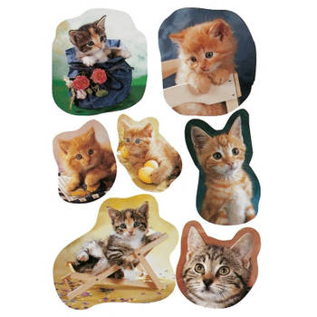 3x Poezen/katten stickervellen met 7 stickers - Stickers