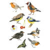 3x Vogel stickervellen met 10 stickers - Stickers