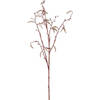 Bellatio flowers & plants Kunsttak - berkenkatjes - 66 cm - betula pendula - decoratie takken - Kunstbloemen