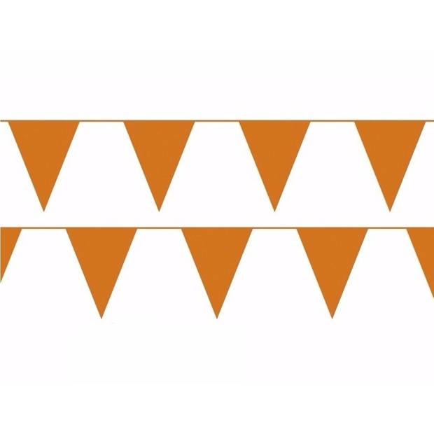 Oranje vlaggenlijn 10 meter