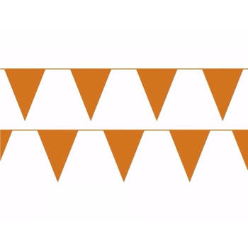 Oranje vlaggenlijn 10 meter