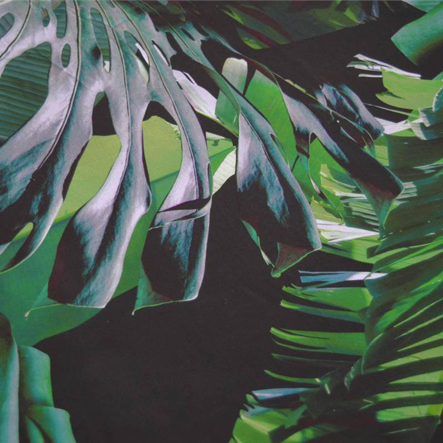 interieur Leesbaarheid Verslaggever Snoozing Jungle flanel dekbedovertrek - 1-persoons (140x200/220 cm + 1  sloop) - Flanel - Green | Blokker