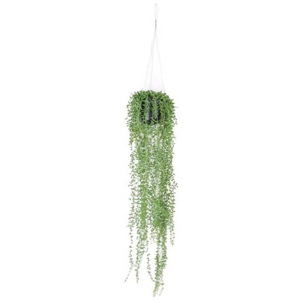 Groene Senecio/erwtenplant kunstplant 70 cm in hangende pot - Kunstplanten/nepplanten