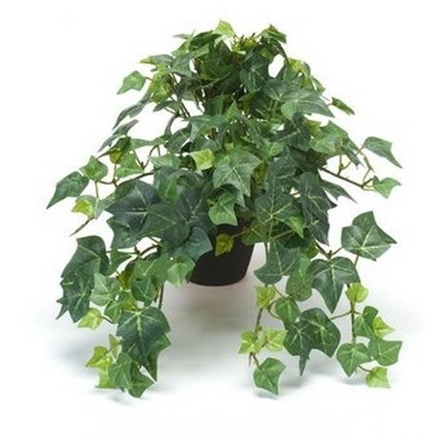 Kantoor kunstplant klimop groen in zwarte pot 30 cm - Kunstplanten