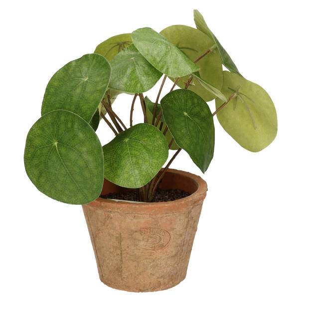 Groene kunstplant pilea plant in pot 25 cm - Kunstplanten