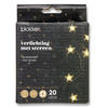 Blokker 20LED Draadverlichting Sterdecor warm wit, 2xAA voor binnen