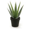 Emerald Kunstplant Aloe Vera - groen - in zwarte pot - 23 cm - Kunstplanten