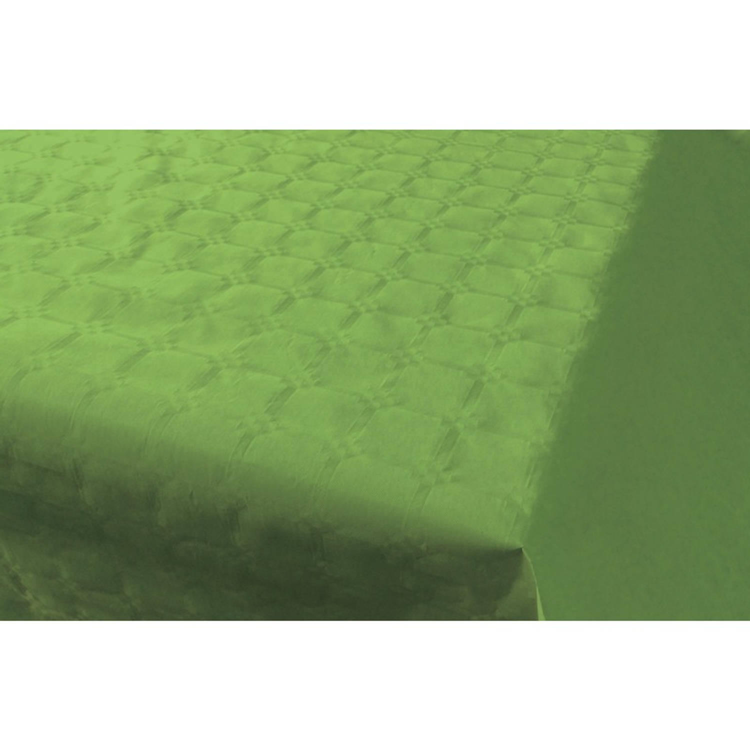 aanpassen Welsprekend koel Lichtgroen papieren tafellaken/tafelkleed 800 x 118 cm op rol - Licht  groene thema tafeldecoratie versieringen | Blokker