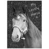 Animal Pictures Lovely Horse - Dagboek - A6