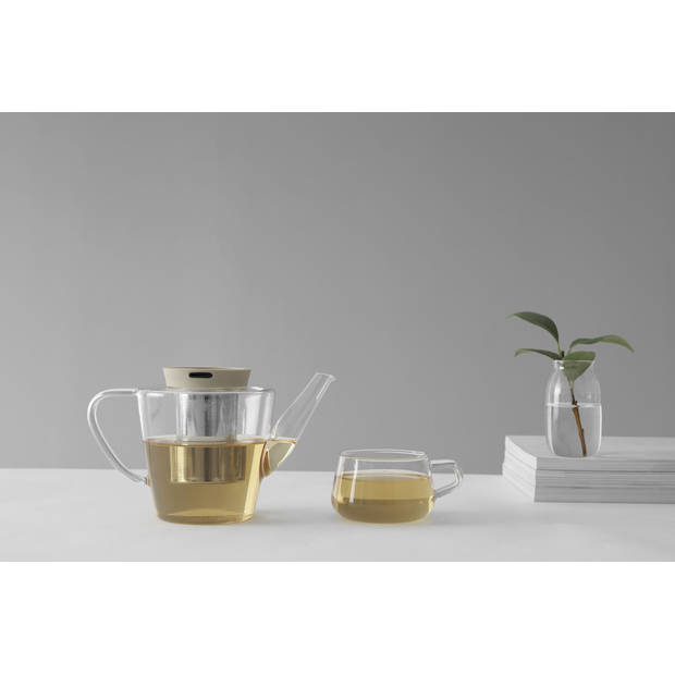 Viva - Infusion Glazen Theepot met Filter 1 liter - Borosilicaatglas - Transparant