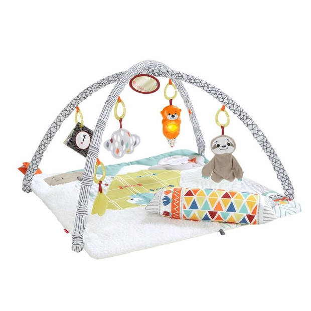 Fisher-Price deluxe perfect sense babygym 67 cm