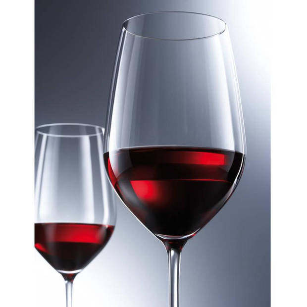 Schott Zwiesel Bourgogneglas / Gin Tonic Glas Vina 400 ml - 6 stuks