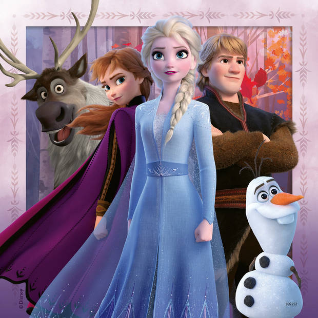 Disney Frozen 2 - Drie puzzels