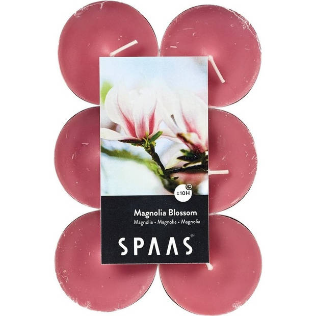 Candles by Spaas geurkaarsen - 24x stuks in 2 geuren Blossom Flowers en Magnolia Bloesem - geurkaarsen