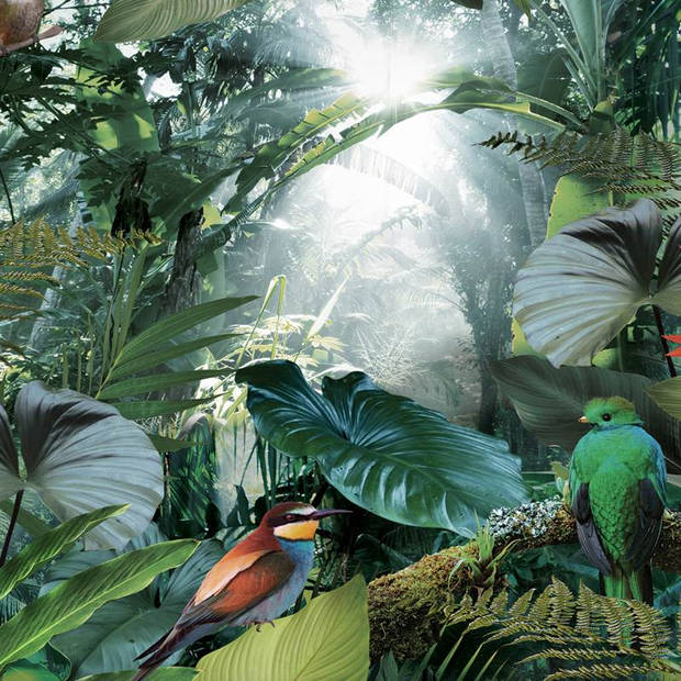 Snoozing - Snoozing Tropical Birds flanel dekbedovertrek