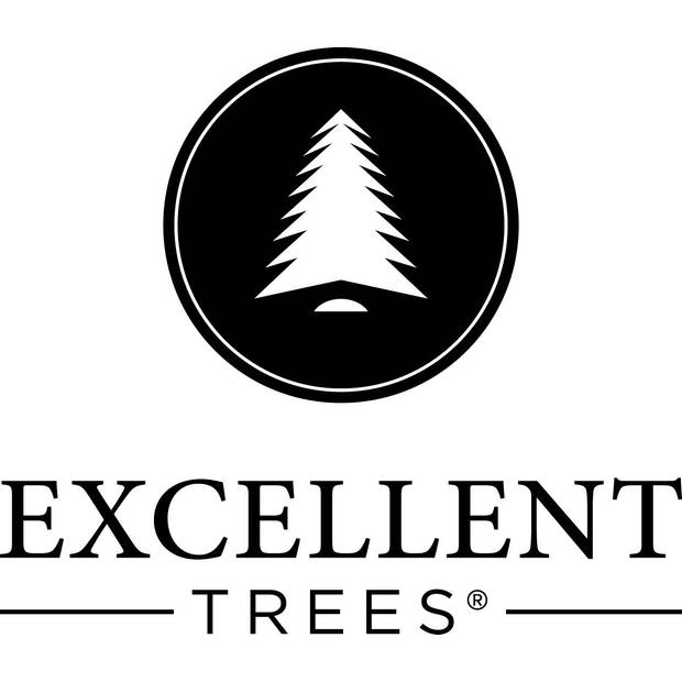 Kerstboom Excellent Trees® Stavanger Green 150 cm - Luxe uitvoering