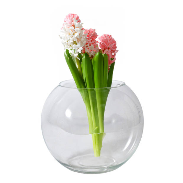 Gerimport Bol vaas/terrarium - D25 x H21 cm - glas - transparant - Vazen