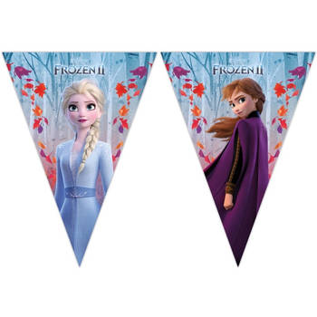 Disney Frozen 2 feest vlaggenlijn 2 meter - Feestbanieren