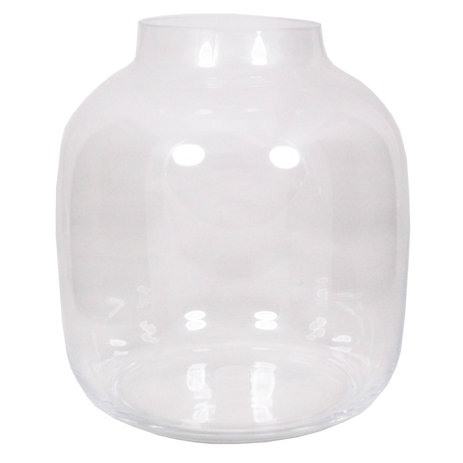 Ronde vaas helder glas 29 cm Bolvormige bloemenvazen van glas