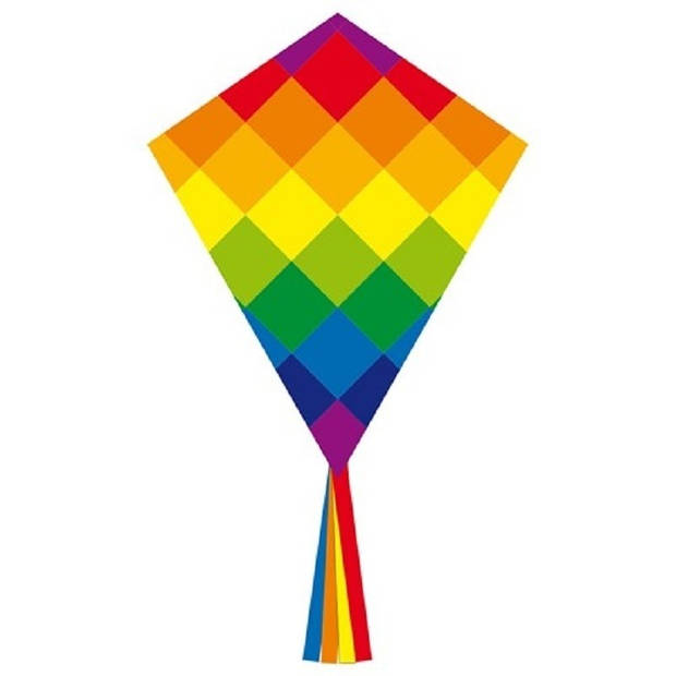 Regenboog vlieger gekleurd 58 x 70 cm - Vliegers
