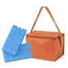 Strand sixpack mini koeltasje oranje inclusief 2 koelelementen - Koeltas