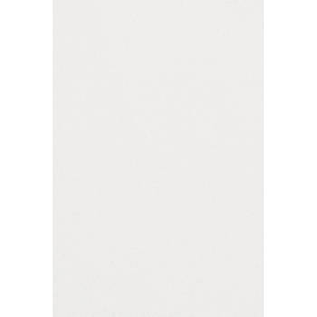 Amscan tafelkleed wit 137 x 274 cm
