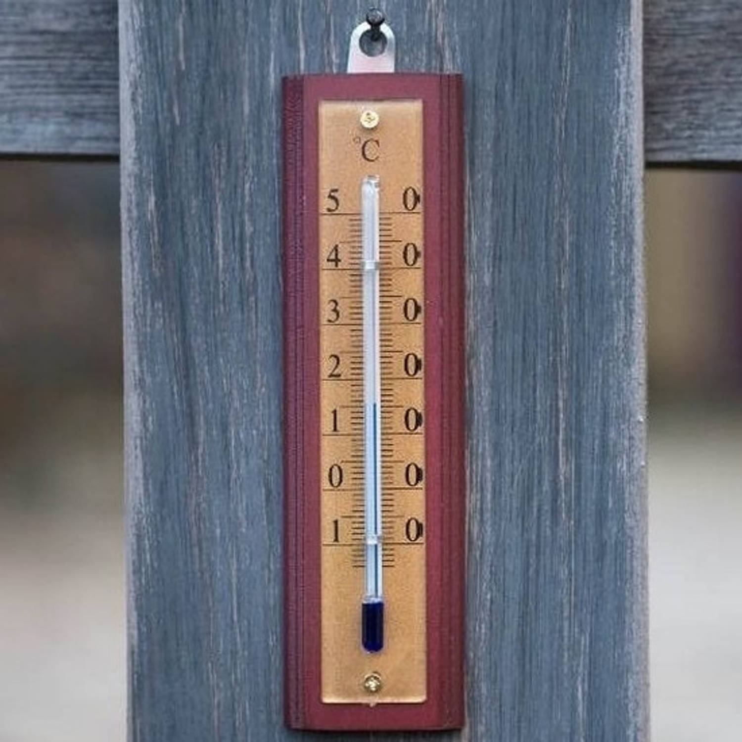 Dor Nieuwe aankomst vitaliteit Binnen/buiten thermometer hout 4 x 13 cm - Buitenthermometers | Blokker