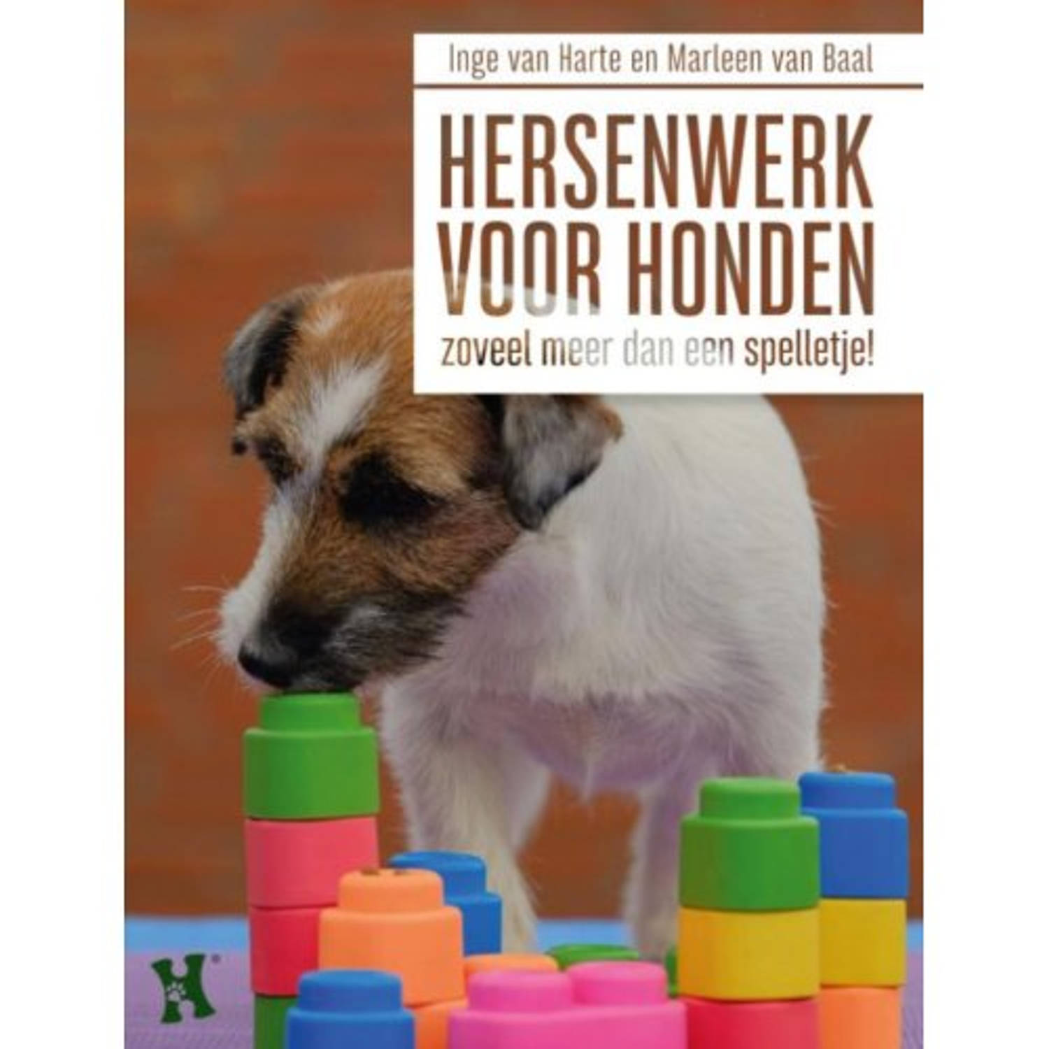 Hersenwerk Voor Honden - (ISBN:9789493160491)