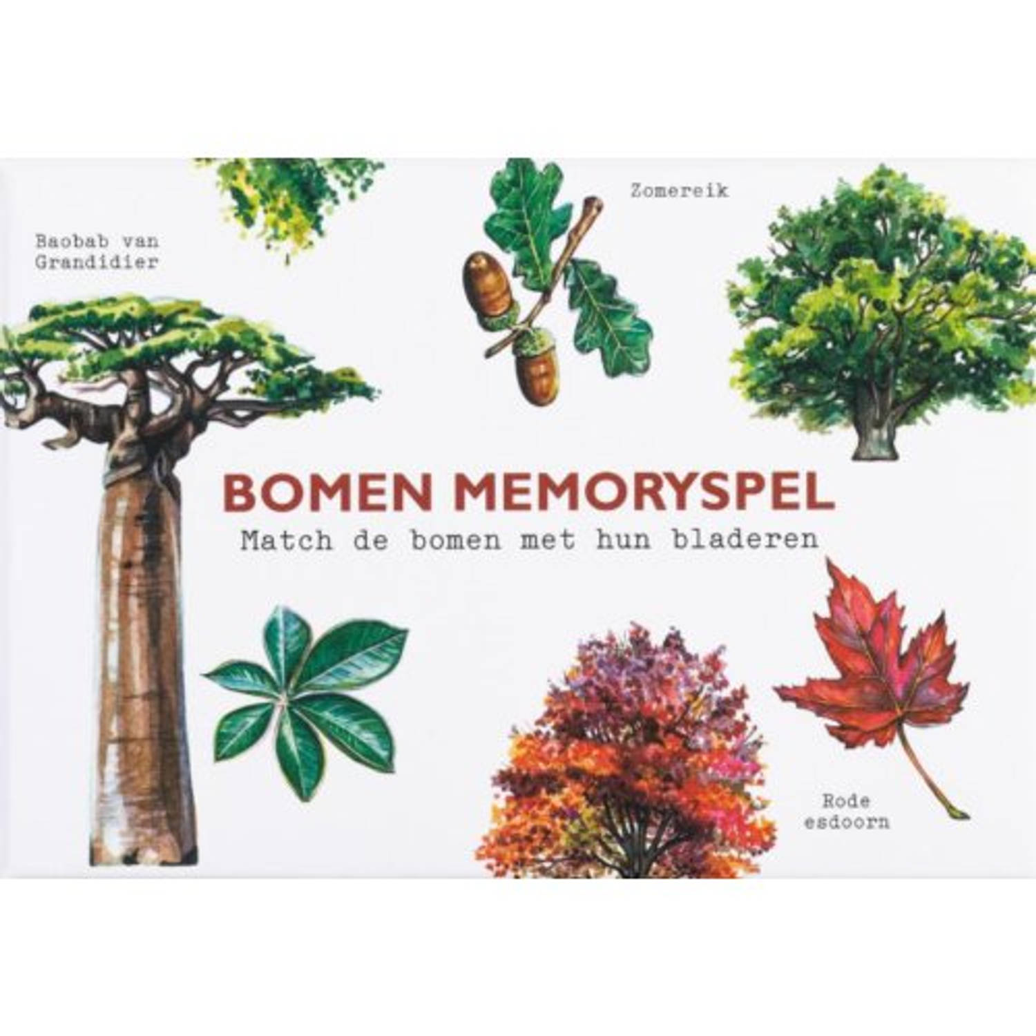 Bomen Memoryspel - (ISBN:9789492938237)