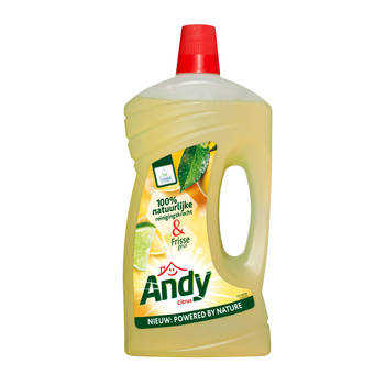 Blokker Andy Allesreiniger Citrus 1 Liter aanbieding