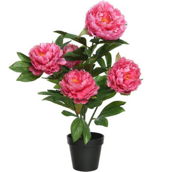 Groene/roze pioenroos rozenstruik kunstplanten 57 cm met zwarte pot - Kunstplanten