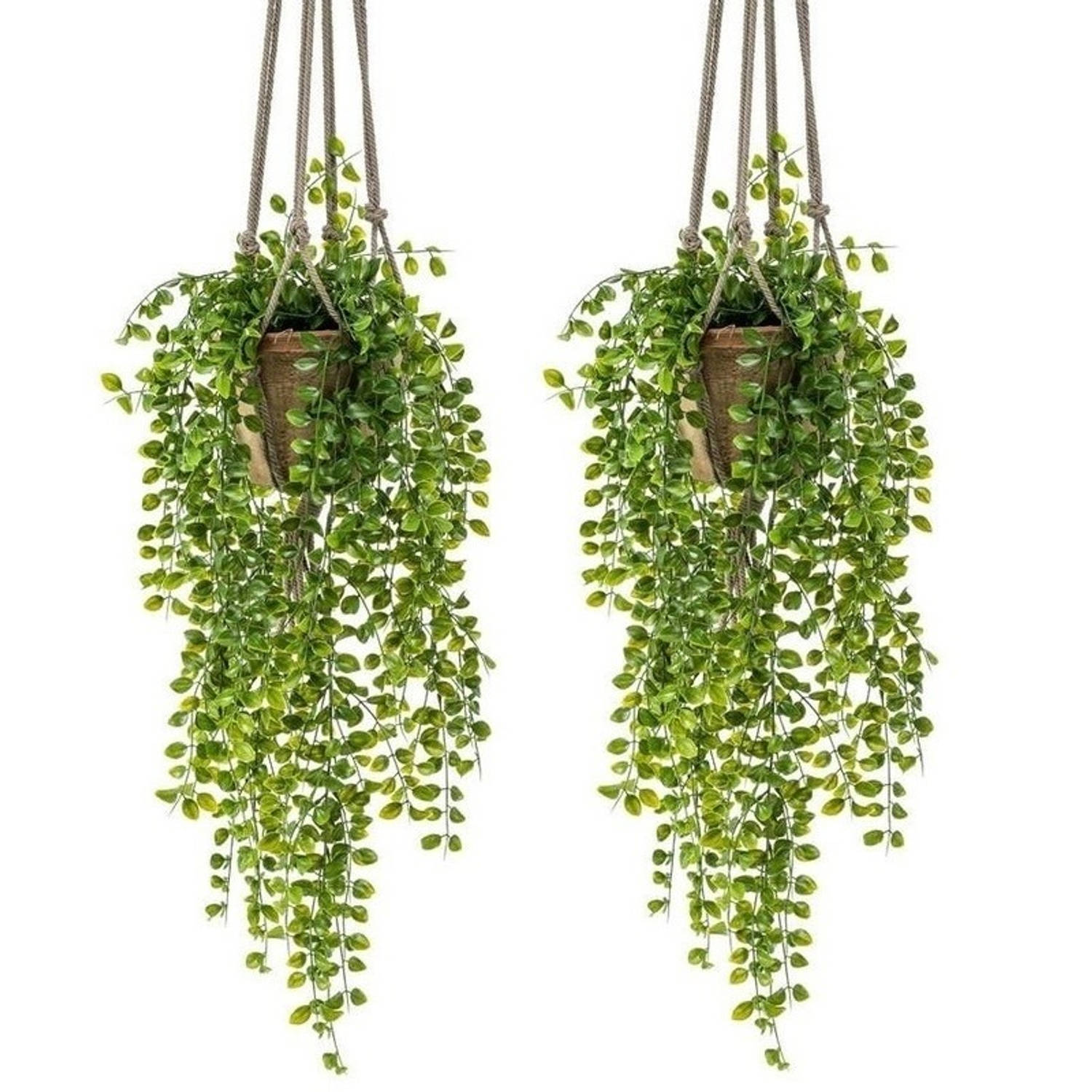 2x Kunstplant hangplant Ficus in pot met touwen 16 cm Nepplanten-kunstplanten