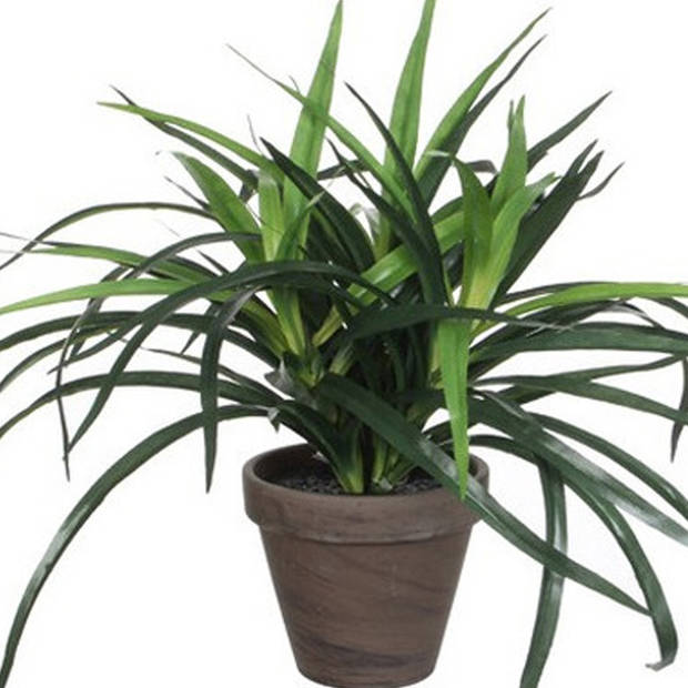 Groene kunstplanten Dracaena plant in pot 34 cm - Kunstplanten