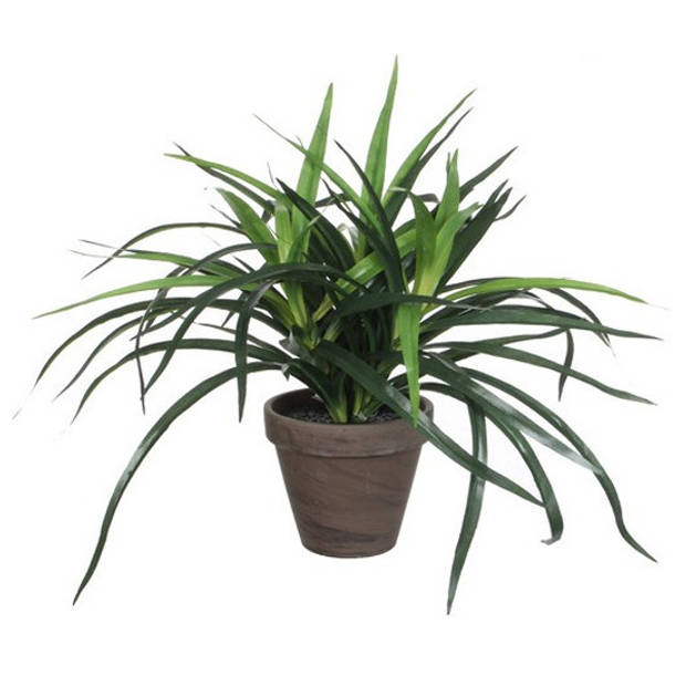 Groene kunstplanten Dracaena plant in pot 34 cm - Kunstplanten