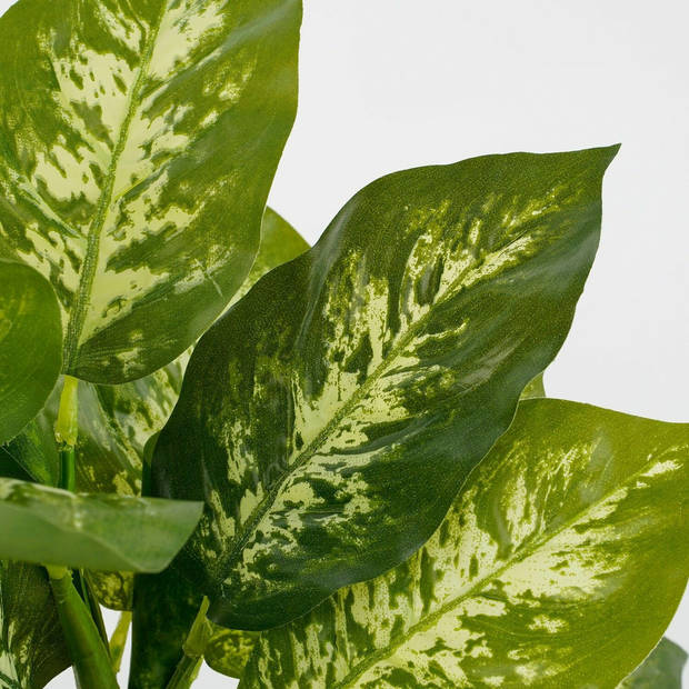 Mica Decorations Kunstplant Dieffenbachia - groen - 40 cm - Kunstplanten