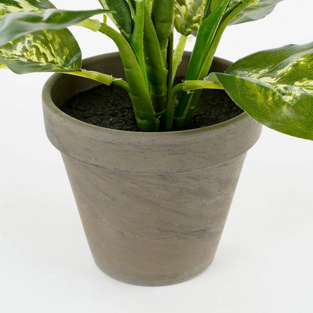 Mica Decorations Kunstplant Dieffenbachia - groen - 40 cm - Kunstplanten