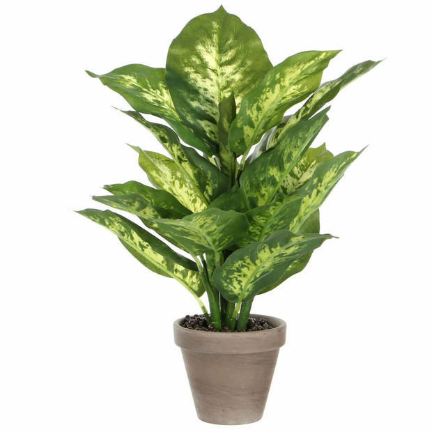 Mica Decorations Kunstplant Dieffenbachia - groen - 40 cm - Kunstplanten