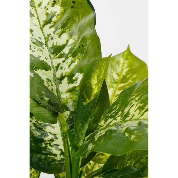 Mica Decorations Kunstplant Dieffenbachia - groen - 40 cm - Kunstplanten