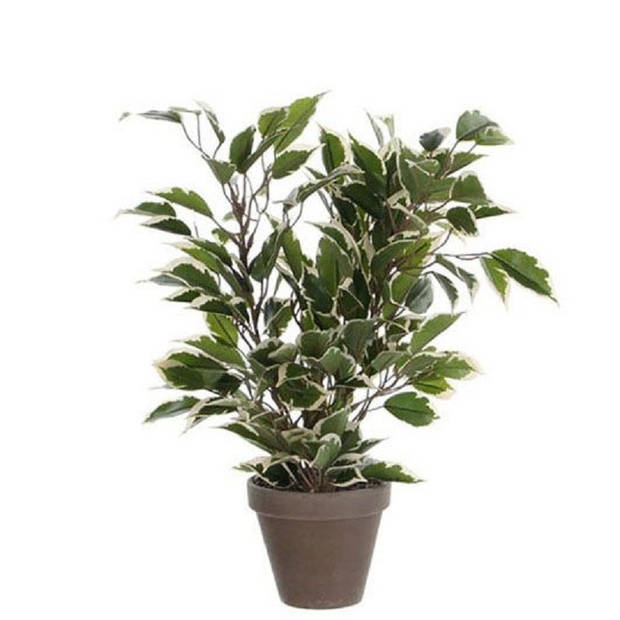 2x stuks groen/witte ficus kunstplanten 40 cm met plantenpot zwart D13.5 en H12.5 cm - Kunstplanten