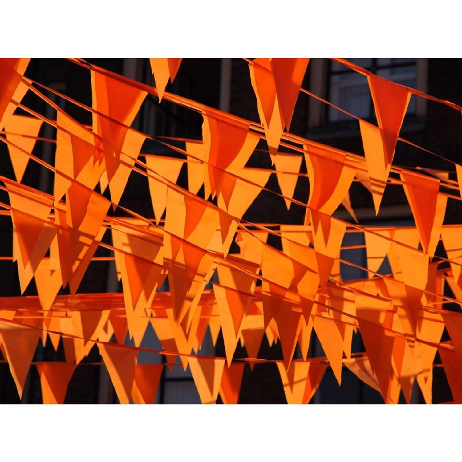 Kwestie Abstractie Landgoed Oranje plastic buiten feest vlaggetjes 100 meter - Vlaggenlijnen | Blokker