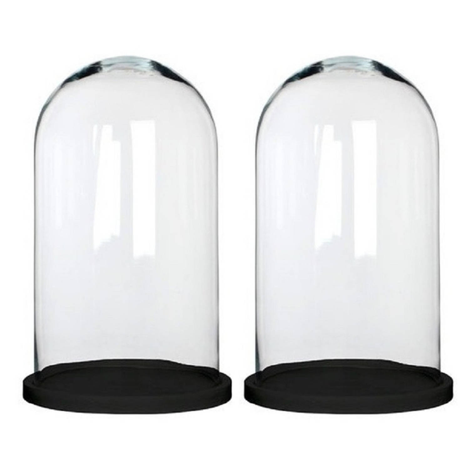 plastic antwoord Quagga 2x Glazen decoratie stolpen zwart houten plateau 23 x 38 cm - Decoratieve  stolpen | Blokker