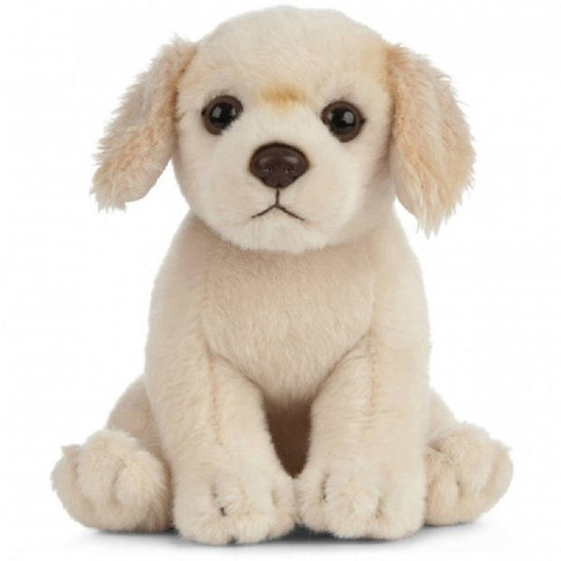 Pluche Golden Retriever honden knuffel 16 cm zittend - Golden Retriever huisdieren knuffels - Speelgoed