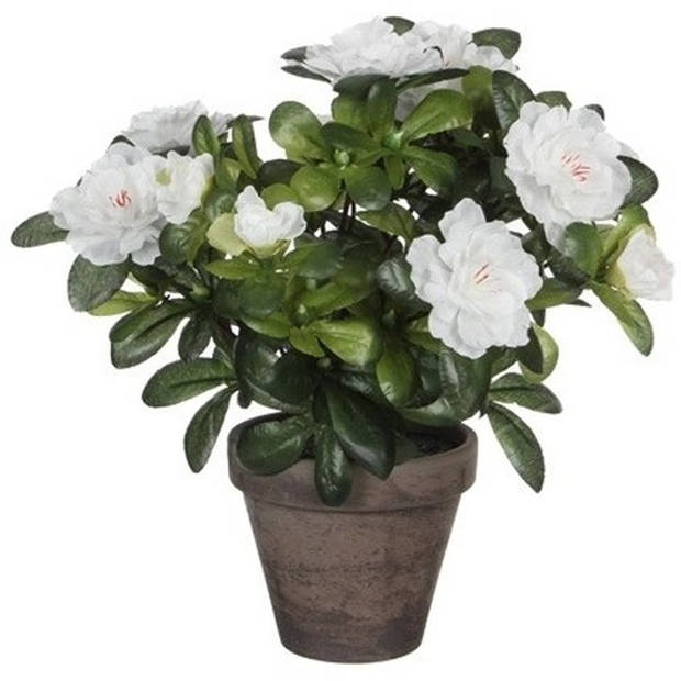 2x groene Azalea kunstplanten met witte bloemen 27 cm met pot stan grey - Kunstplanten