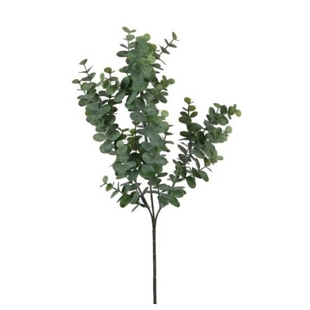Eucalyptus kunstbloemen takken 65 cm decoratie - Kunstbloemen