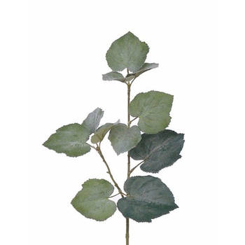 5x Groene Linde Tilia Grape kunsttak 50 cm - Kunstbloemen